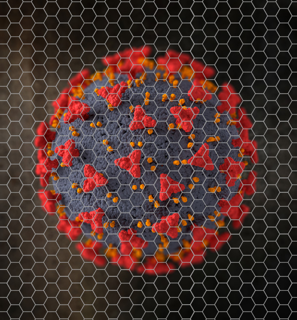 Graphene Oxide is antimicrobial